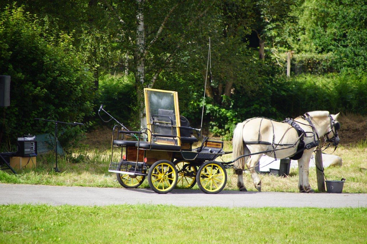10 Pierre et sa calèche, seront présents les jeudis et vendredis pendant les 2 mois d'été