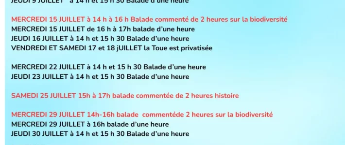 Un été de la toue vous propose des balades sur le Blavet.